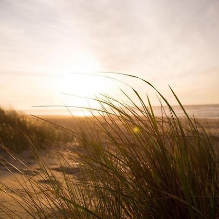 Kleine Nordseewelle Ohne Hund Norden Exteriör bild