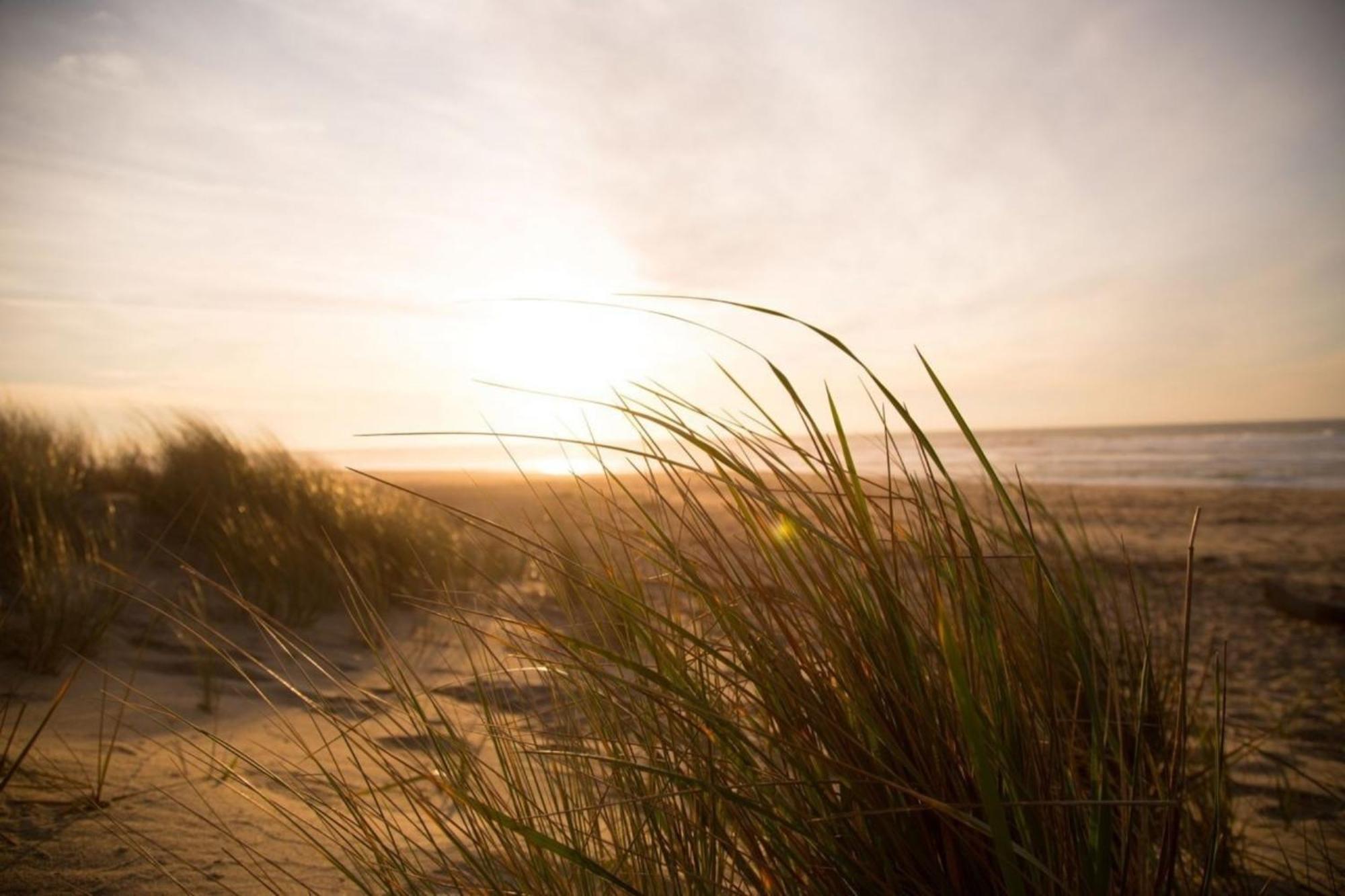 Kleine Nordseewelle Ohne Hund Norden Exteriör bild