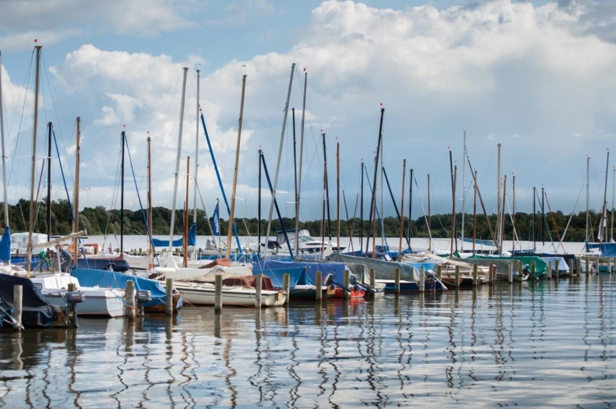 Kleine Nordseewelle Ohne Hund Norden Exteriör bild